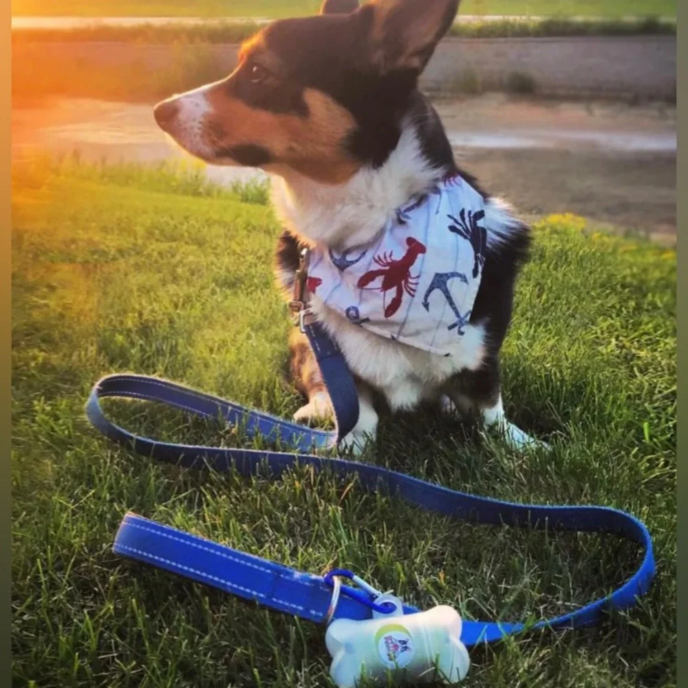 Dog poop bag with bag dispenser